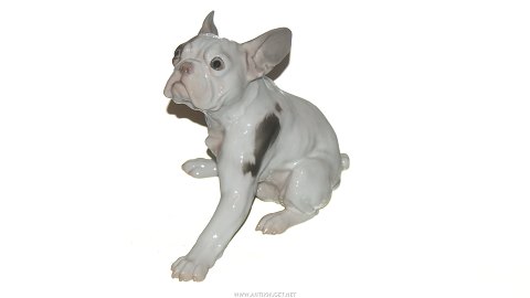 Stor Bing & Grøndahl Figur, Fransk Bulldog