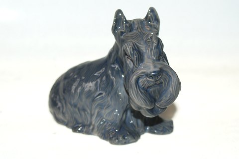 Royal Copenhagen figurine, Scottish Terrier
Dek. No. 4917
SOLD