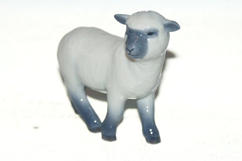Royal Copenhagen figurine Lamb
SOLD
