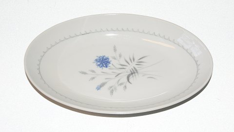 Bing & Grondahl Demeter White (Cornflower),
Small oval dish
Dek. No. 39
Nice and well maintained condition