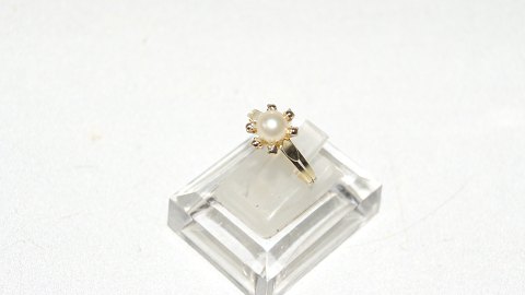 Elegant lady ring with Pearl in 14 carat gold