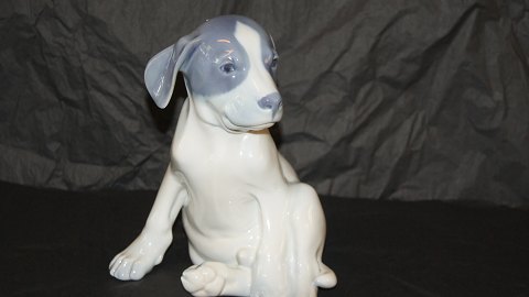 Large Royal Copenhagen Dog Figure, Pointer Puppy
Dek. # 051 or # 259
