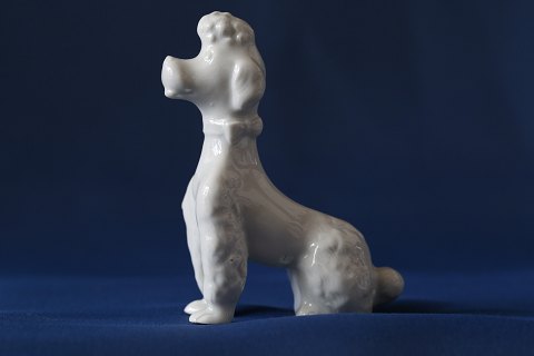 White porcelain figurine of a king poodle, sitting. Nice and well maintained 
condition, a beautiful collector