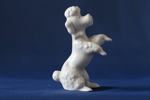 Porcelain figure in white porcelain of a king poodle.