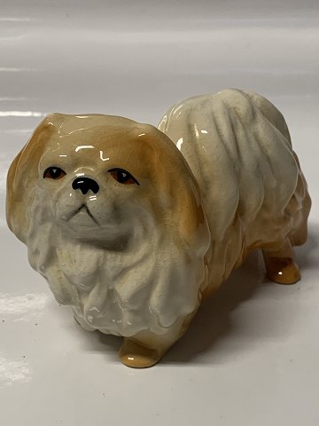 Dog figure Pekingese faience.
Meter. 8 X 11.5 cm.