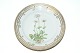 RC Flora Danica, Salad / Herring plate
Sold