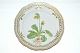 Royal Copenhagen Flora Danica, Dinner plate with openwork edge
Decoration number 20 / # 3553