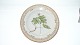 Kongelig Flora Danica Middagstallerken
Dekorationsnummer 20-#3549
Motiv: Anemone nemorosa L. 
web 10917   SOLGT