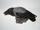 Large Bing & Grondahl Figurine
Crow
Dec. Number 1714
Length 30.5 cm.