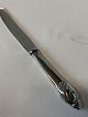 Evald Nielsen No. 6  Barnekniv/Frugtkniv
Dansk Sølv bestik
Længde 18 cm