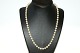 Beautiful pearl necklace with a lock in 14 K Gold